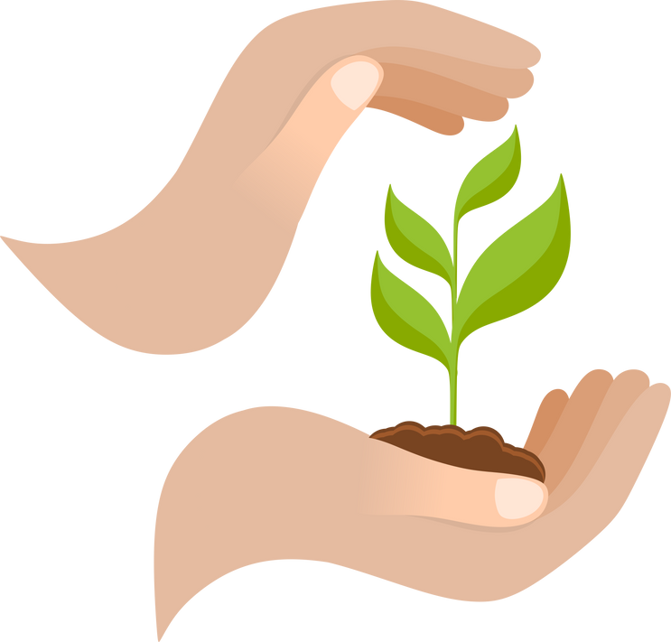 Plant in Hands Illustration